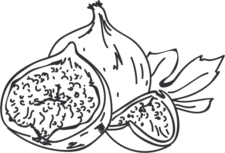 Figment in Minimalist Tumbler